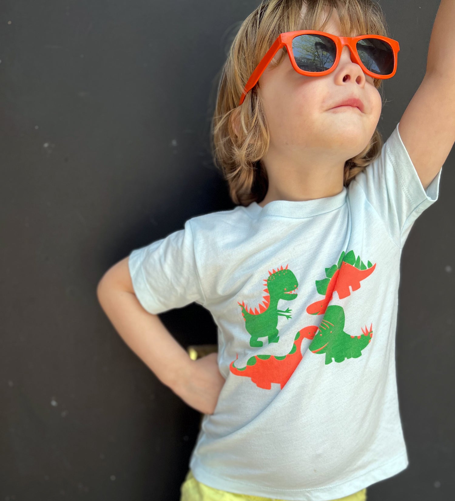 Dino Silhouette Four Square T-Shirt